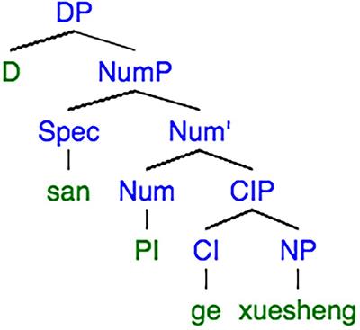 Testing the Representational Deficit Hypothesis: From the Aspect of Chinese Learners’ Acquisition of Affixation ‘-s’ for Third Person Singular Verbs and Plural Nouns